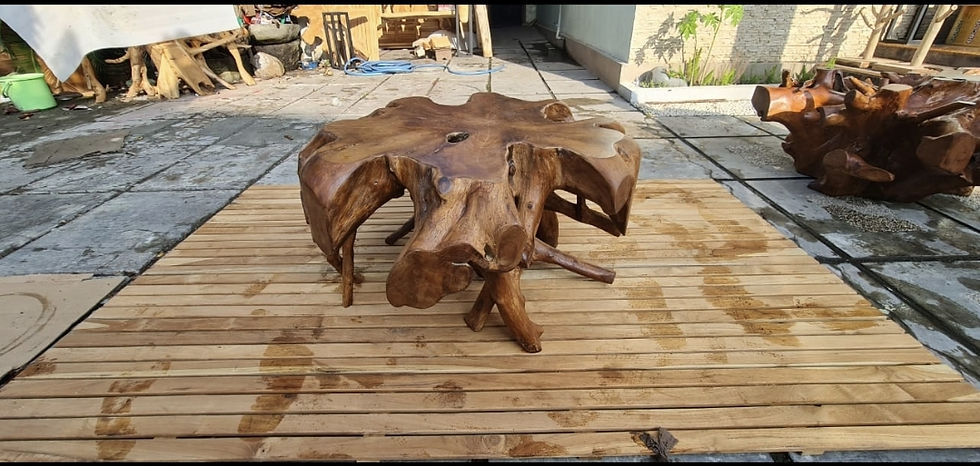 תמונה ממוזערת: שולחן  שורש עץ טיק   80/80