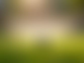 Water System Repair for Healthy Gardens and Lawns