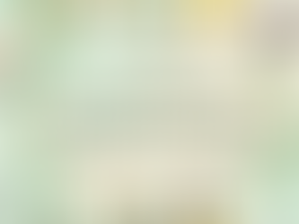 Vegan Products Guides