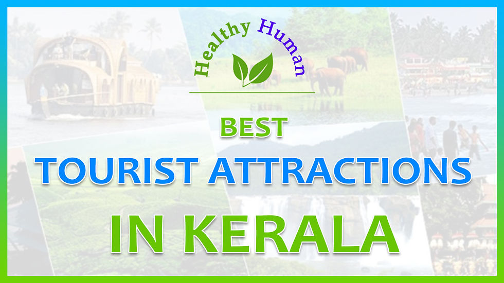 Best Tourist Attractions in Kerala