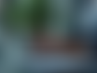 Financial Consulting: Turning Data into Business Success