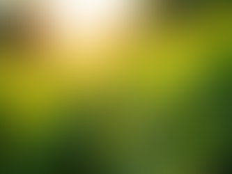 Harness the Power of Hemp Topicals for Skin and Wellness