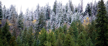 DSC08198_edited_edited.jpg