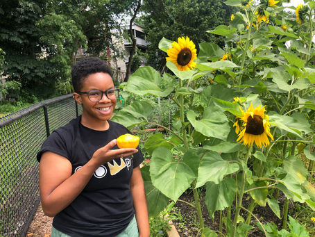 Researchers Build Community Power to Influence Health in Gentrifying Neighborhoods
