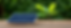 AdobeStock_1009111509_edited.png