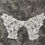 Miniature : Hedera