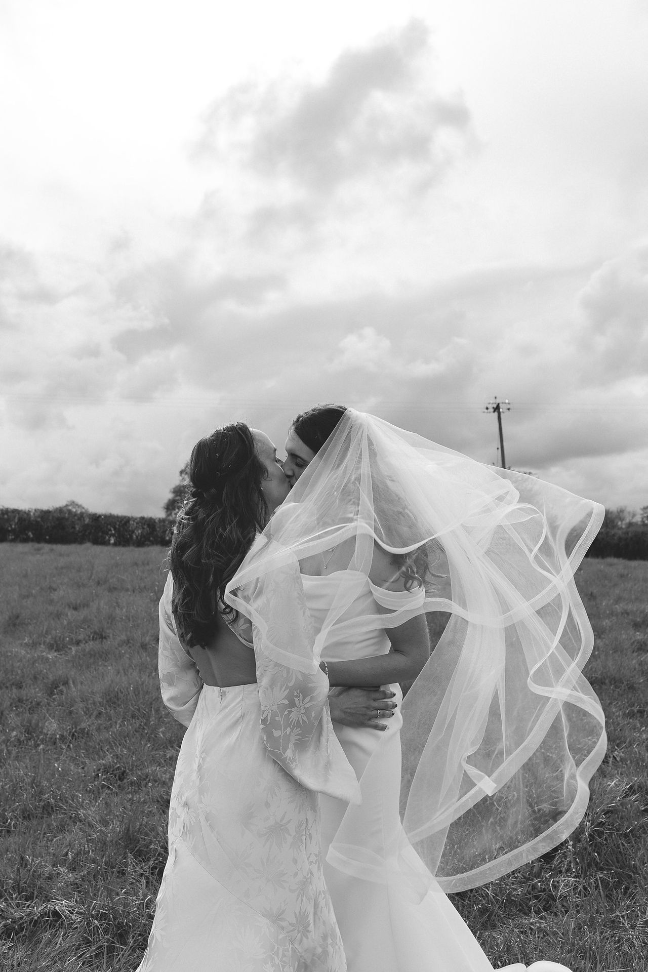 black and white images of birds kissing on their wedding day