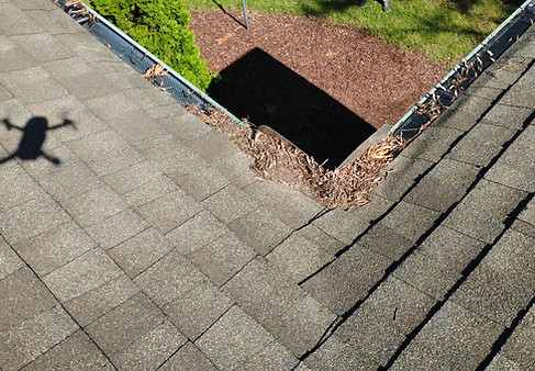 Gutters filled with leaves and debris before cleaning and repair in Charlotte, North Carolina.