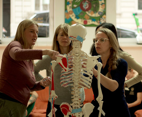 Anatomiekurs - Bodymind Therapy Berlin