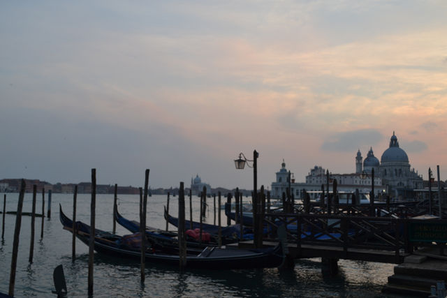 Venice_Floating Beauty