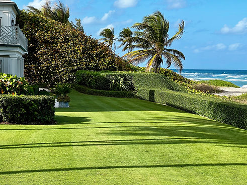 Beach Reel Cut.jpg