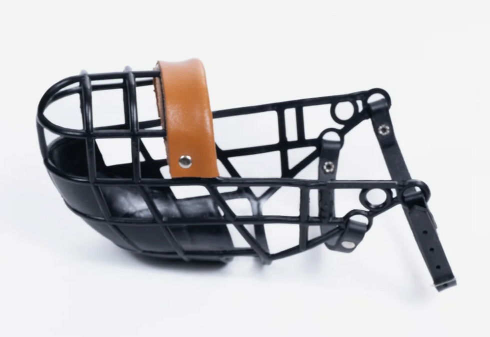 Miniature : Muselière pour lévriers de DG DogGear