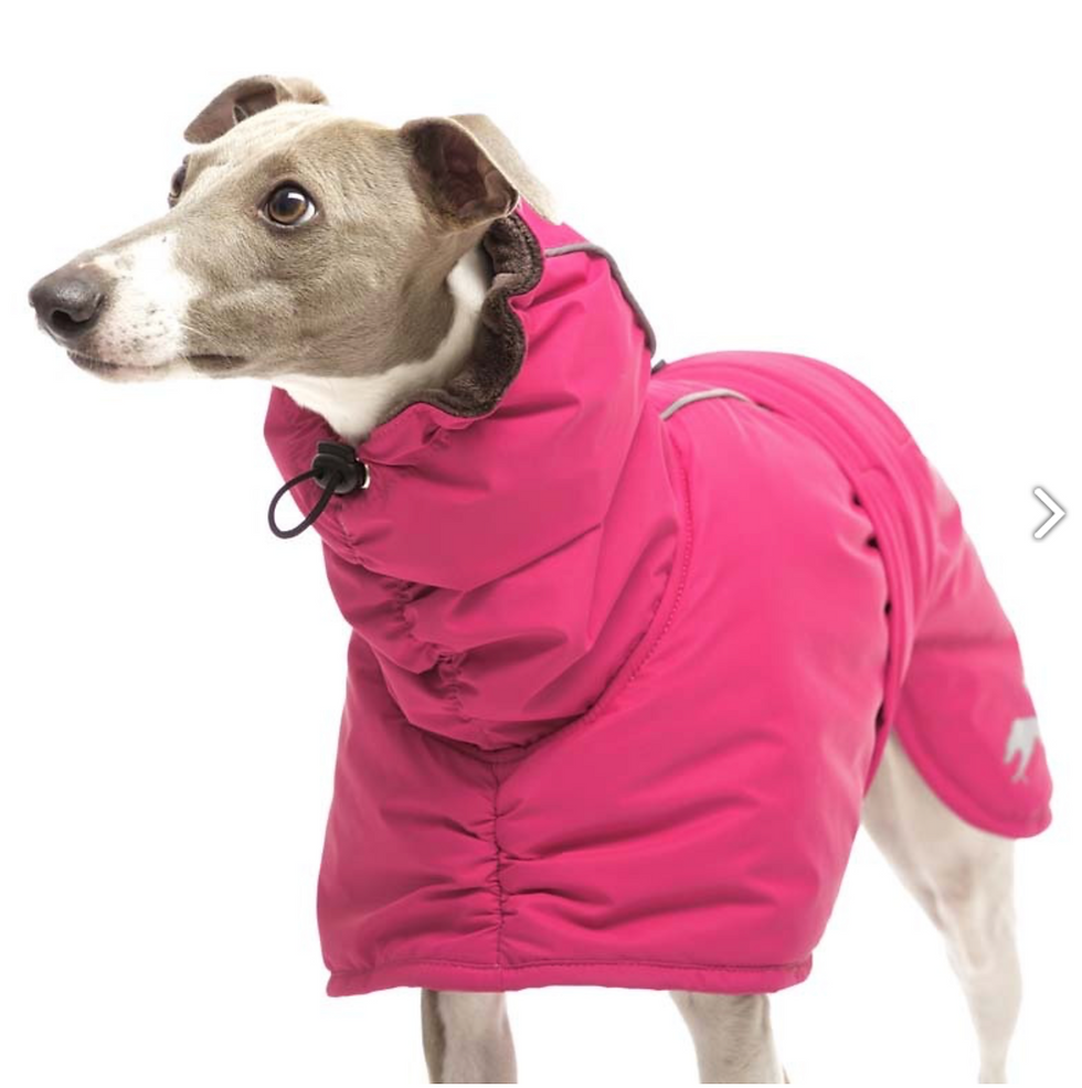 Miniature : Manteau chaud ELVIS pour Lévrier de SOFA Dog Wear (Taille PLI à Whippet)