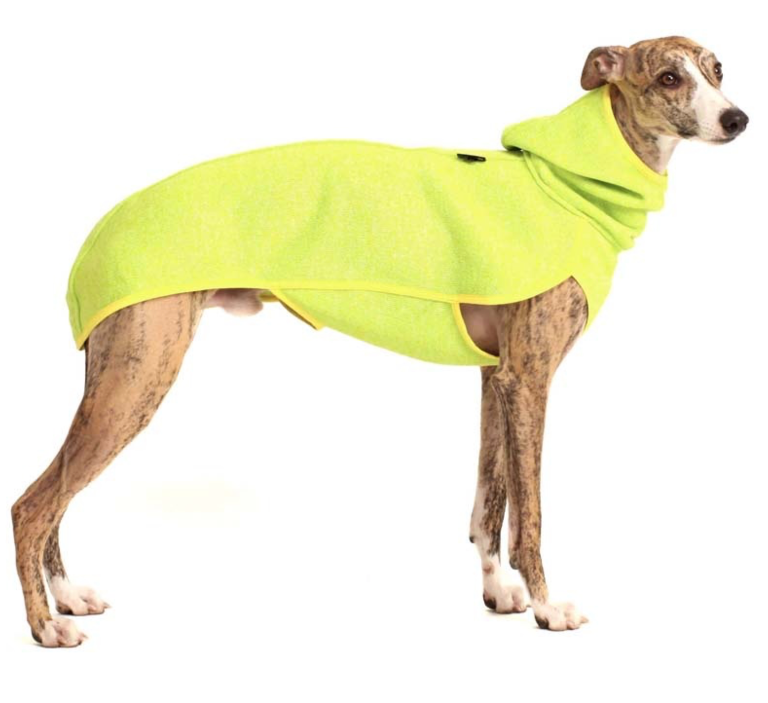 Body avec capuche pour Lévrier Kevin Jumper H. SOFA Dog Wear (PLI/Whippet/Galgo)