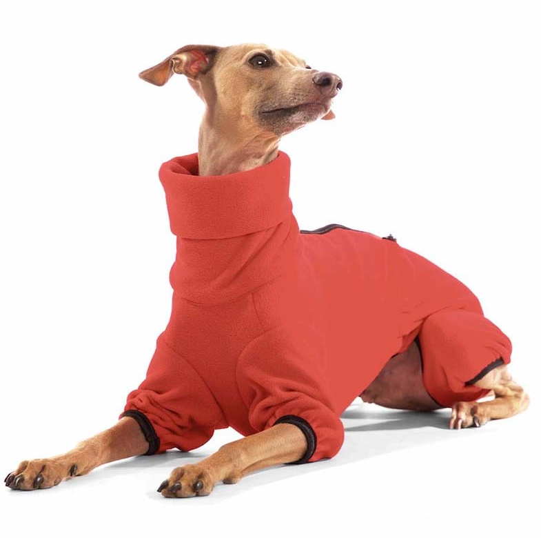 Miniature : Pyjama Lévrier - Figaro - SOFA Dog Wear - (PLI -> Whippet)