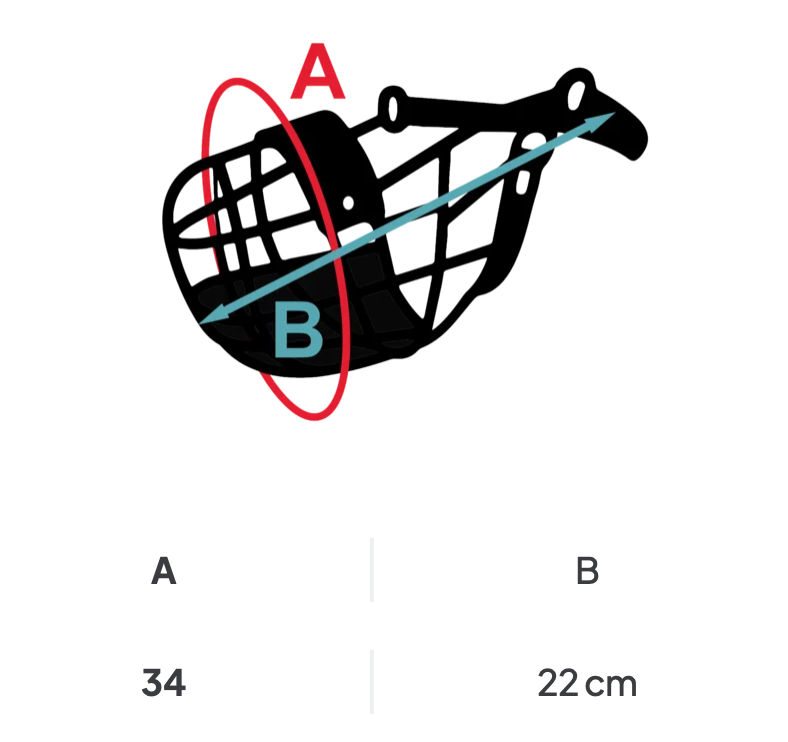 Miniature : Muselière pour lévriers de DG DogGear