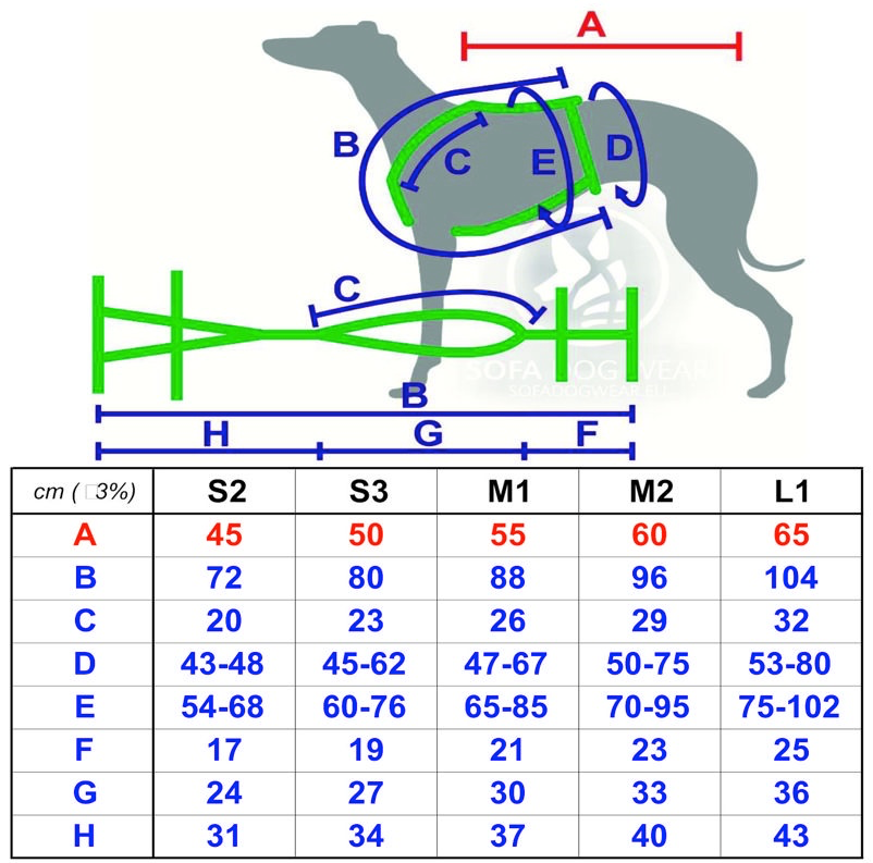 Miniature : Harnais doubles de sécurité Lévriers - SOFA Dog Wear - (Whippet -> Greyhound)