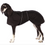 Miniature : Manteau Lévrier BONO 3 de SOFA Dog Wear (Taille PLI/ Whippet/ Galgo/ Greyhound)