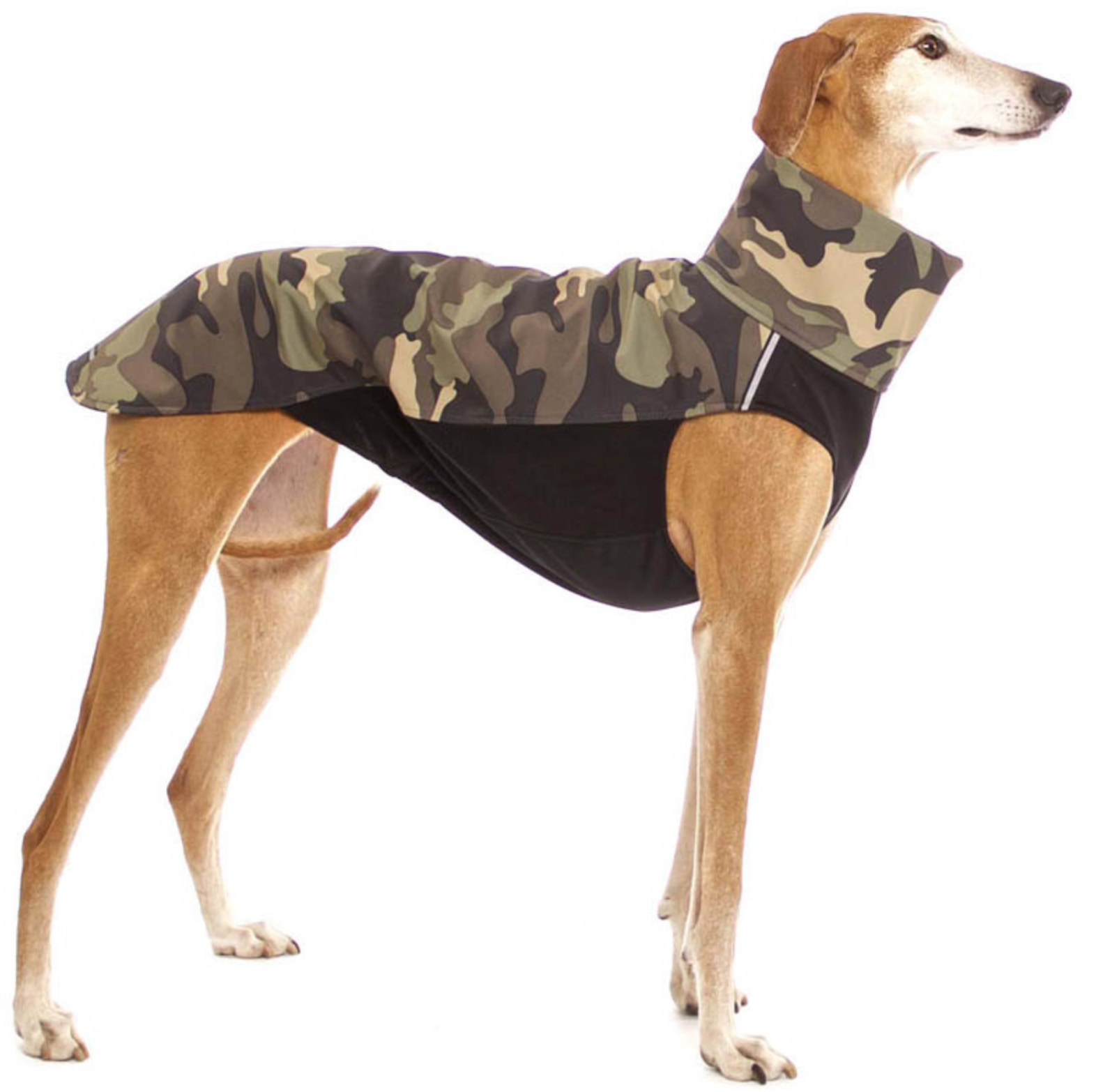 Pull pour Lévrier SoftShell HACHICO ARMY SOFA Dog Wear (Diverses tailles)