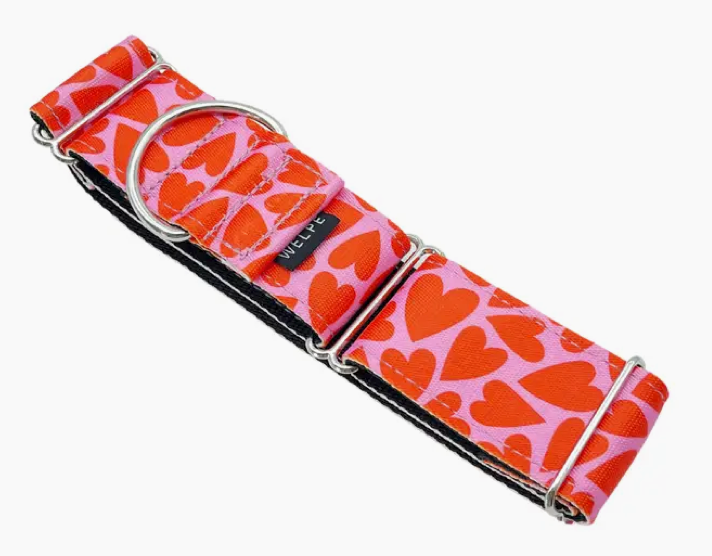 Miniature : Collier Lévrier martingale 4 cm - Welpe Themoderndog - (Whippet -> Greyhound)