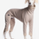 Miniature : Body DG URBAN WARMKEEPER de DG DogGear (Taille PLI/ Whippet/ Galgo)