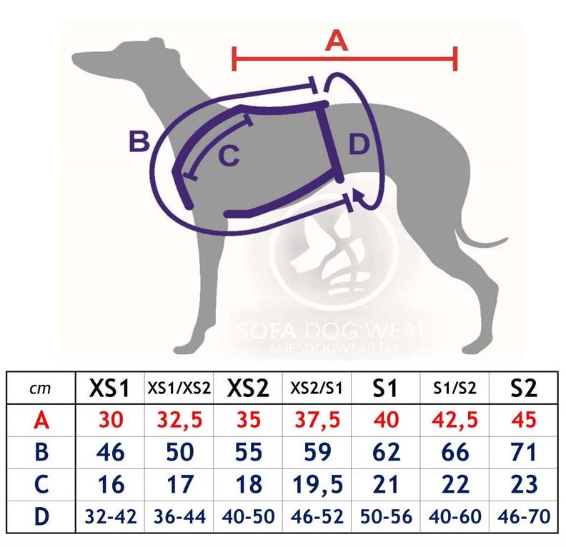 Miniature : Harnais lévriers Sport Y - SOFA Dog Wear - (PLI -> Whippet)