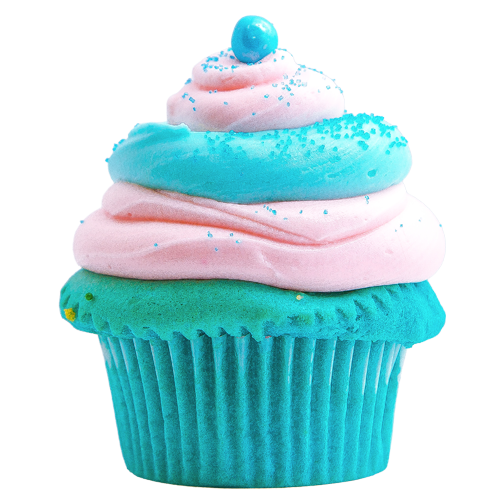 pinkTurquoisecupcake.png