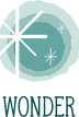 Value Icons_Wonder.png