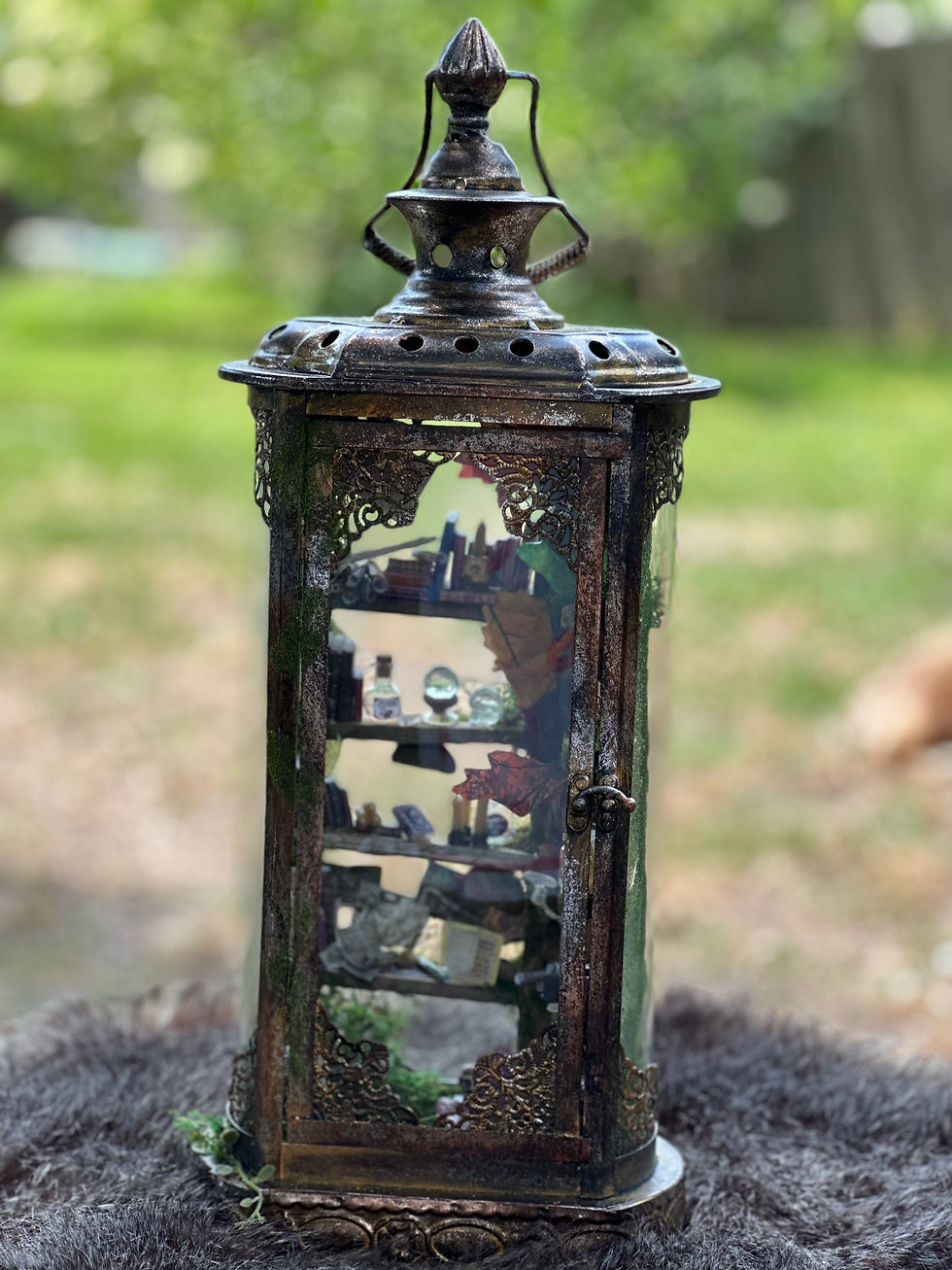 Thumbnail: Faery lantern #xxxx