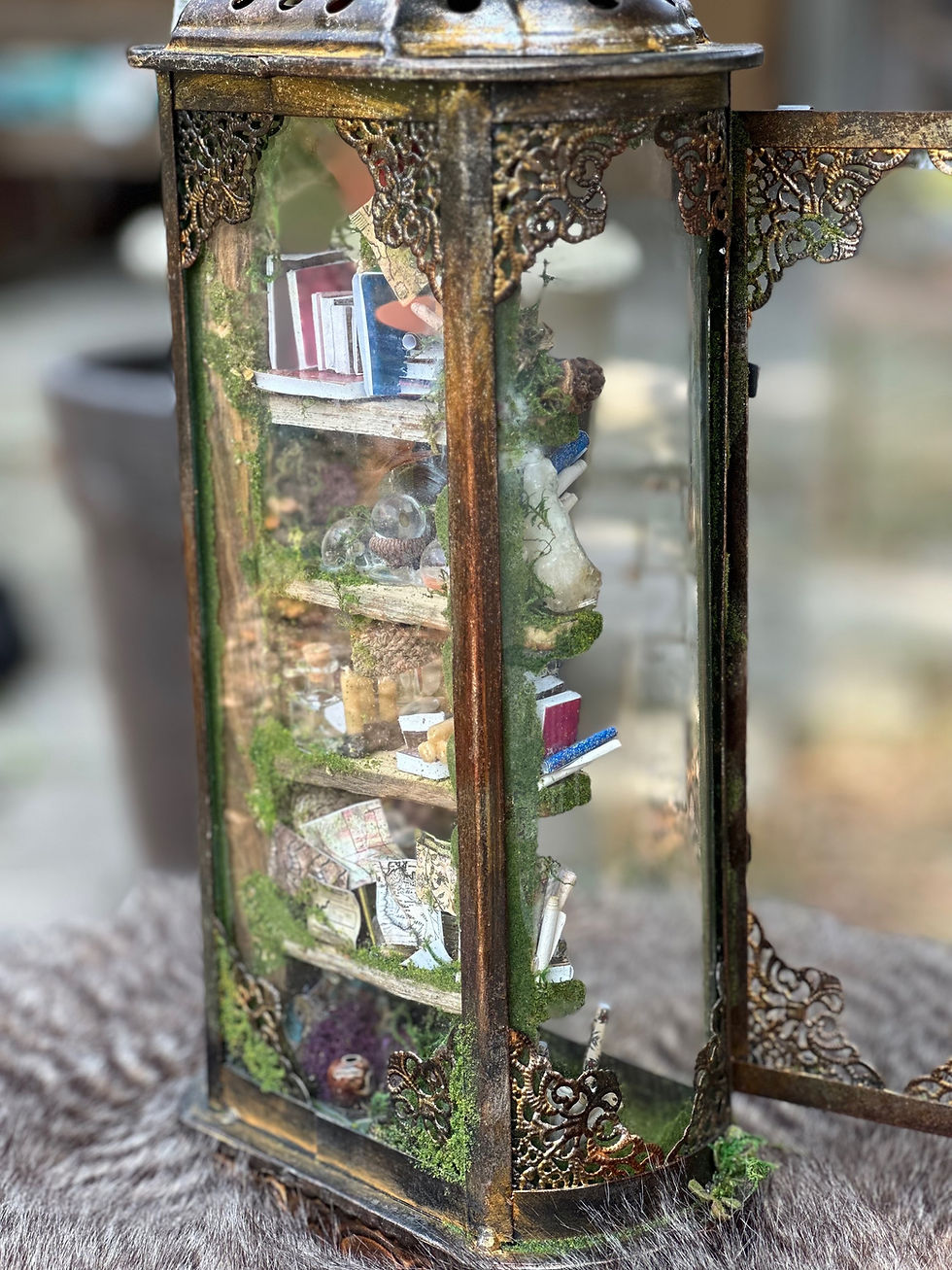 Thumbnail: Faery lantern #xxxx