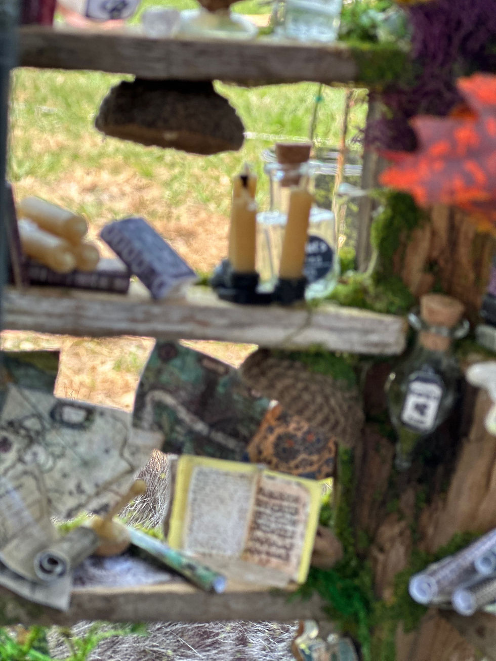 Thumbnail: Faery lantern #xxxx