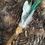 Thumbnail: Smudge Wand #xxxx