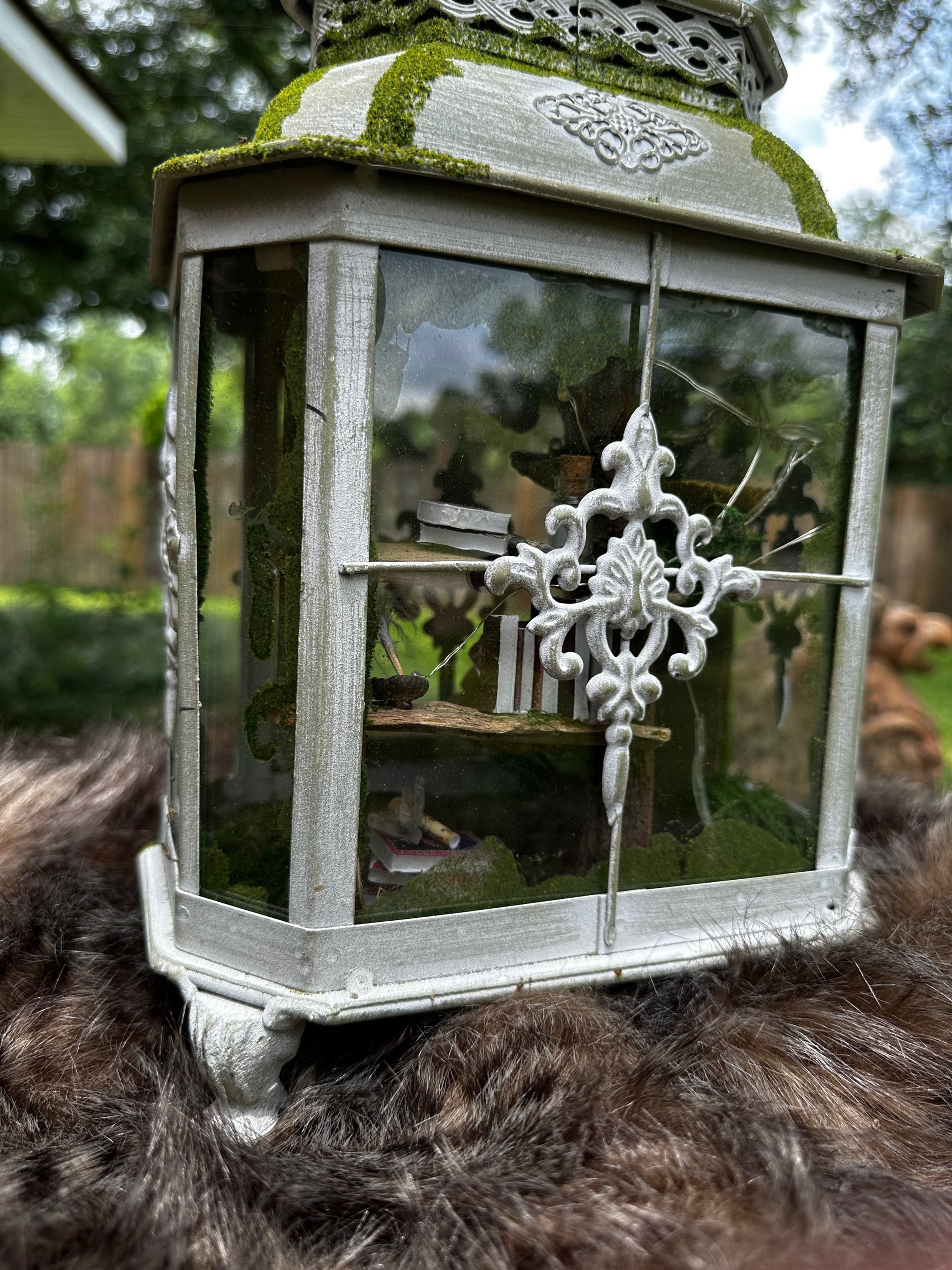 Faery Lantern Cottage #xxxx