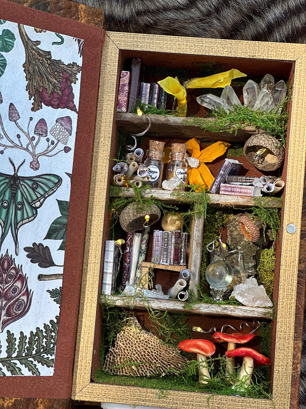 Thumbnail: Faery book #xxxx