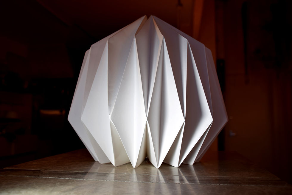 Lampshade, photographed for the designer, Kate Colin