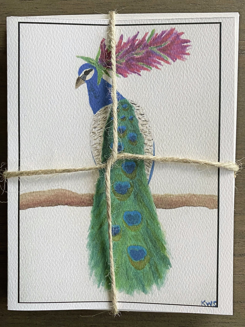 Thumbnail: Bird Notecards - Variety Pack (set of 5)