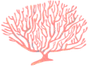 coral (4)_edited_edited.png