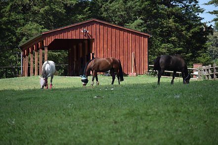 DSC_0561.JPG