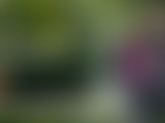 September Physio-4 Tips for Carrying