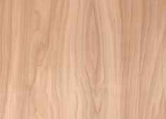 Birch red Wood Texture