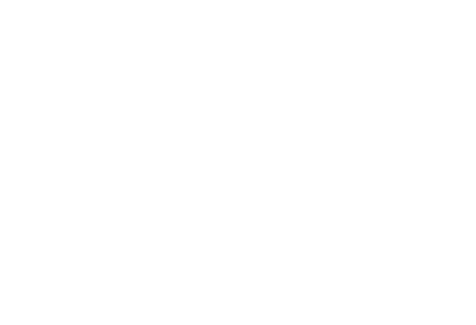 Tally Headlight King Logo
