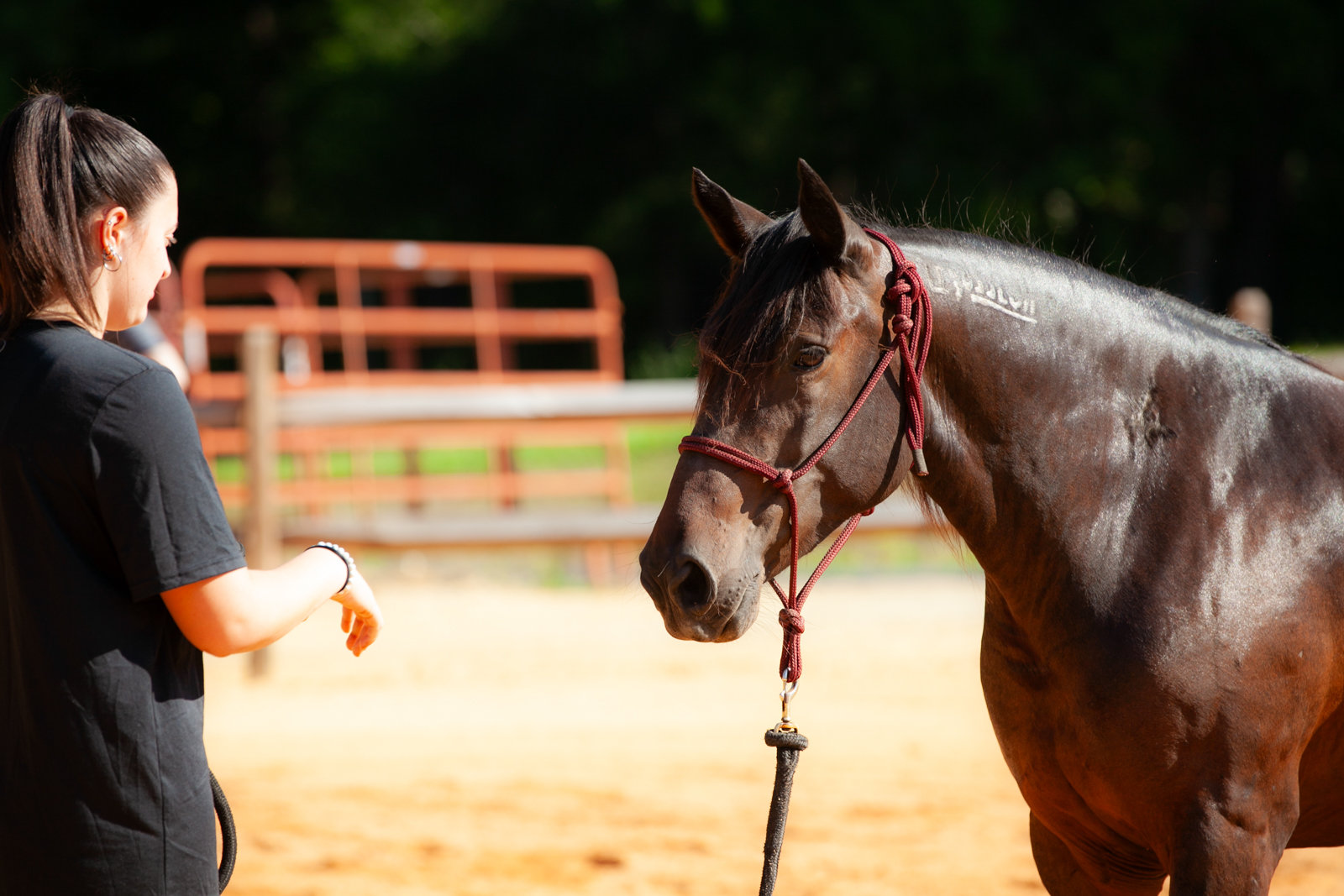 Lesson Barns Lessons | Bushel Barns