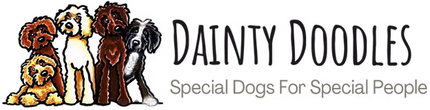 Dainty Doodles_edited.avif