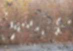 image0 (4).jpeg