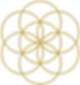 Vivant Logos (5)_edited.png