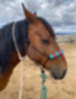 equestrian rope