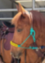 equestrian rope