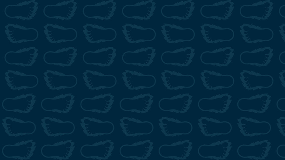 Untitled design - 2023-02-12T201227.473.png