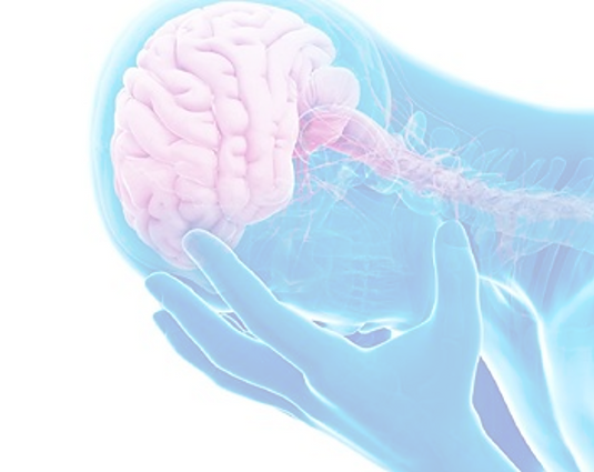 How are these behaviors and neural processes altered in the context of stress and psychiatric disease?