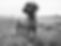 IMG_20191216_103253-01.jpeg